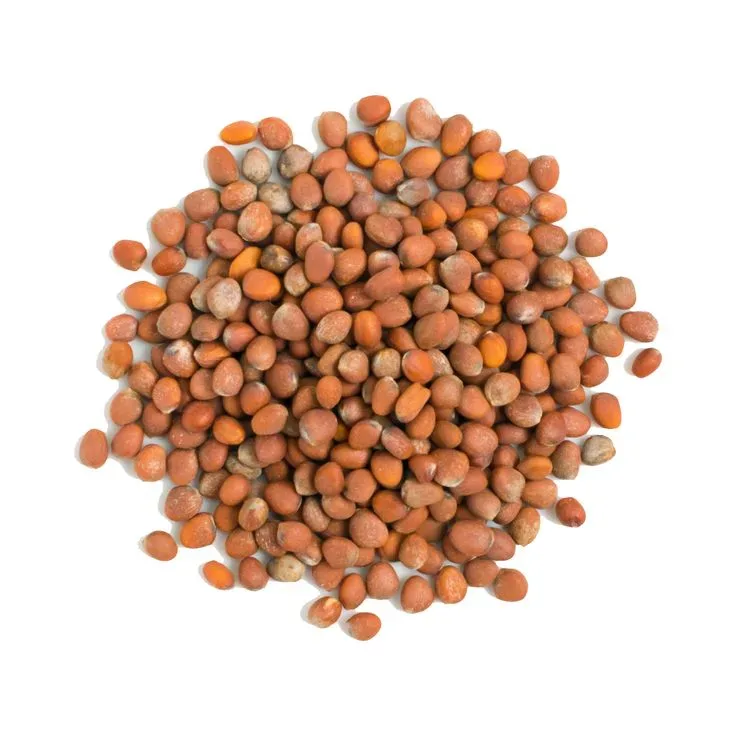 Crisp Radish Seeds